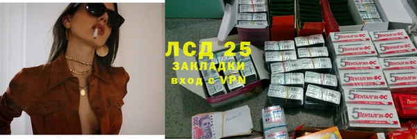 амф Вяземский