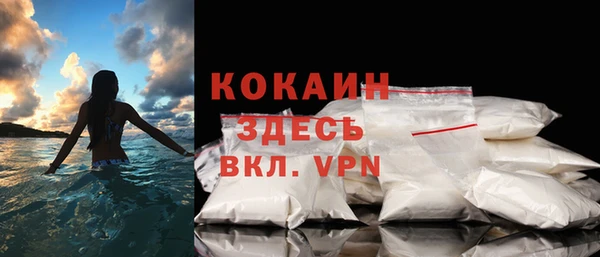 шишки Абаза