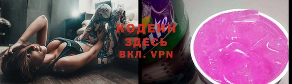 шишки Абаза
