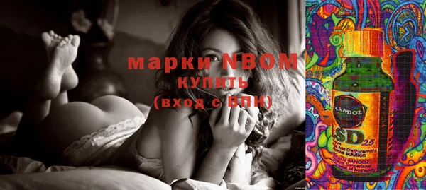 шишки Абаза