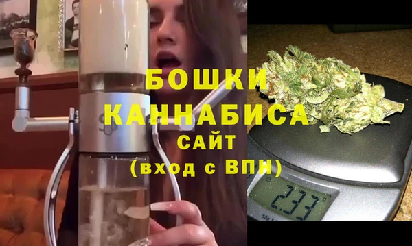 шишки Абаза