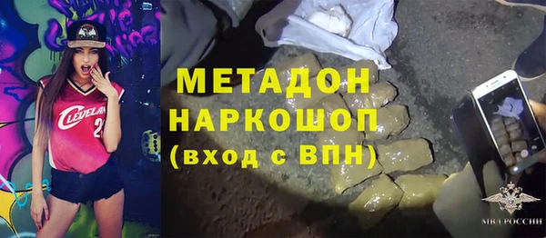 шишки Абаза