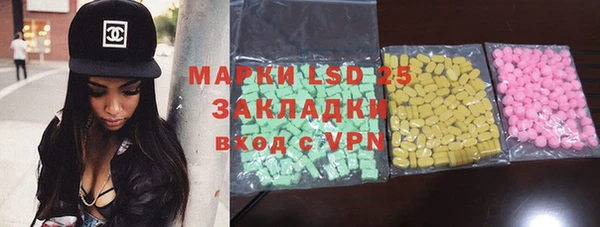 шишки Абаза