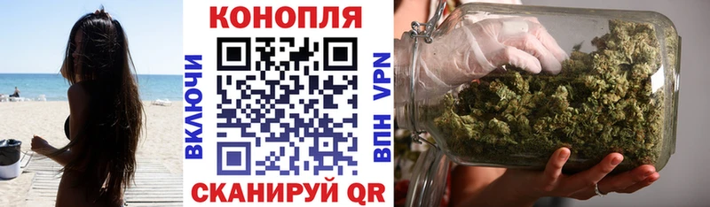 Марихуана сатива  Сычёвка 